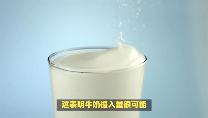 管家婆期期精选一肖一马一冲特,两只狗狗吵架但还是要睡在一起,整体规划执行讲解_探索版V15.17