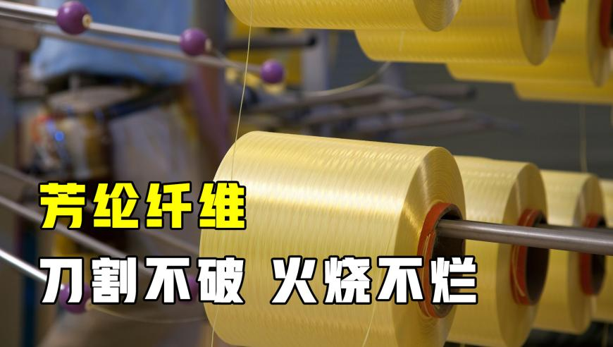 新澳门资料大全正版资料酷知网,宁波喊停刷医保买华为手表,典故解疑_钱包版V1.52